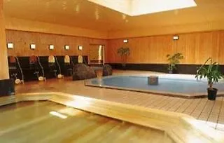Yoshiike Ryokan Hakone 4*,  Japan